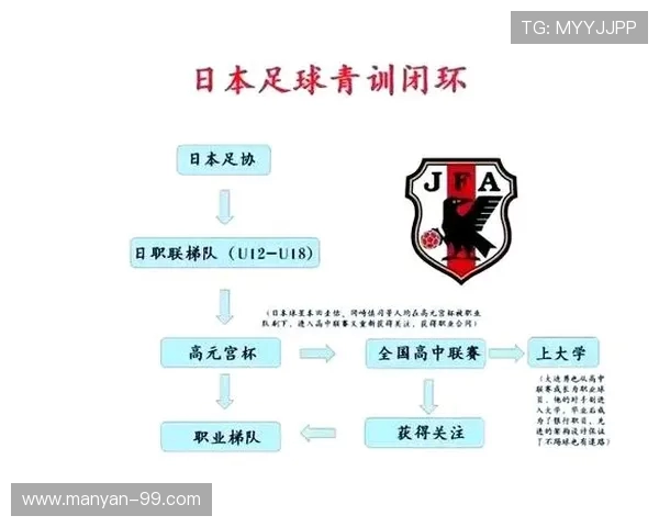 足球青训体系与发展趋势