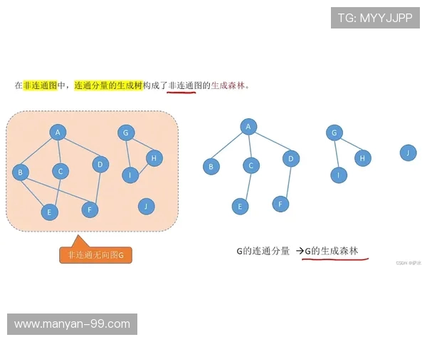 法甲俱乐部股东构成与资本结构分析 法甲俱乐部股东构成与资本结构分析