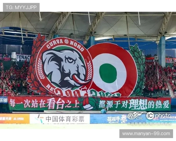 法甲球迷的故事：忠诚、激情与看台文化